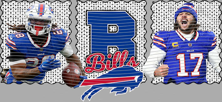 16oz team-NFL 3572